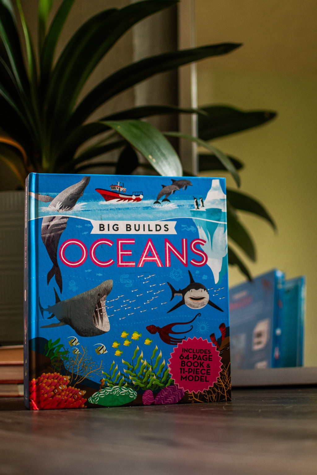 Big Builds: Oceans