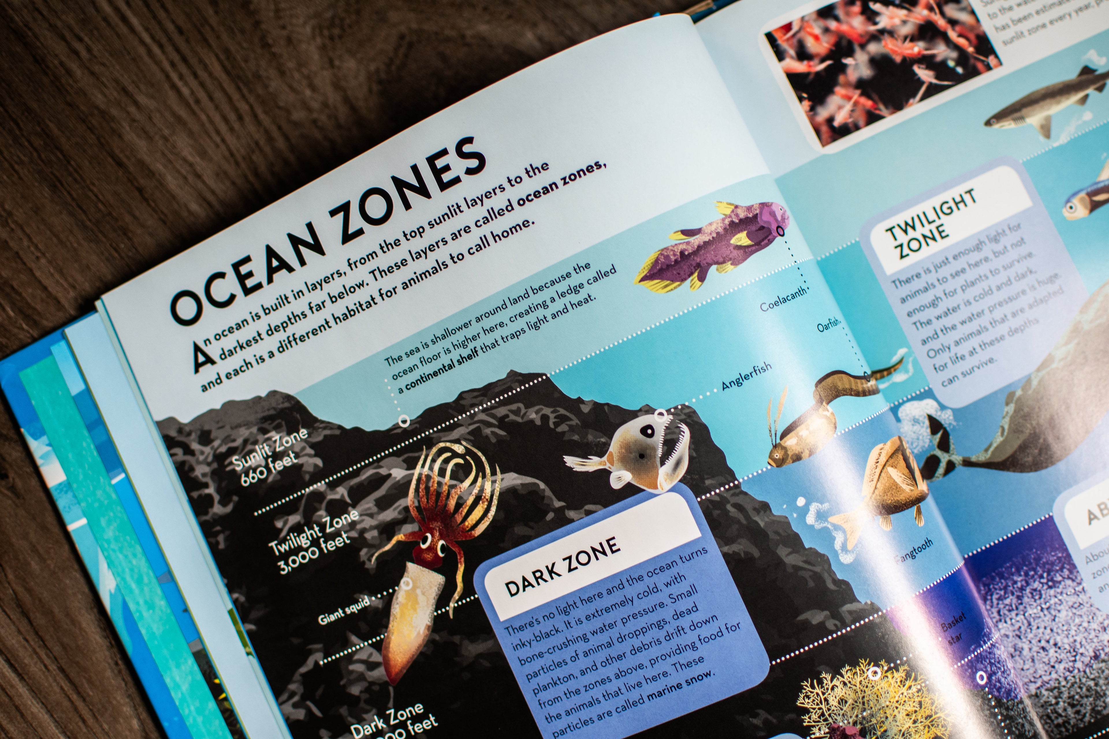 Big Builds: Oceans